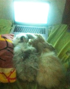 saat Lee dan Linka bersikap sok tahu nonton film di laptop