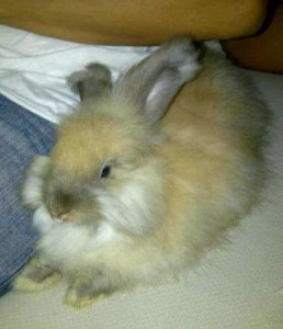 foto lee yang terbaring menggoda saat usianya 3 bulan