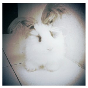 gaya di usia 1 tahun