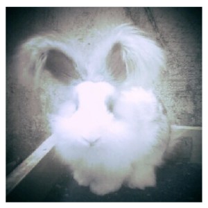 saat usianya 2 bulan