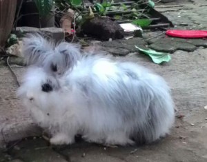 posenya di tahun kedua