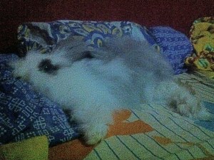 tingkah manja di usianya yang ketiga