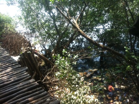 Sampah yang mengumpul di arah menuju pantai