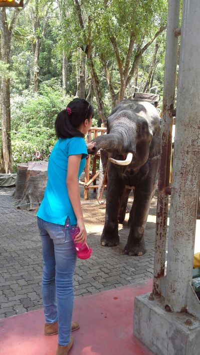 IMG-20141019-WA0019 (1)