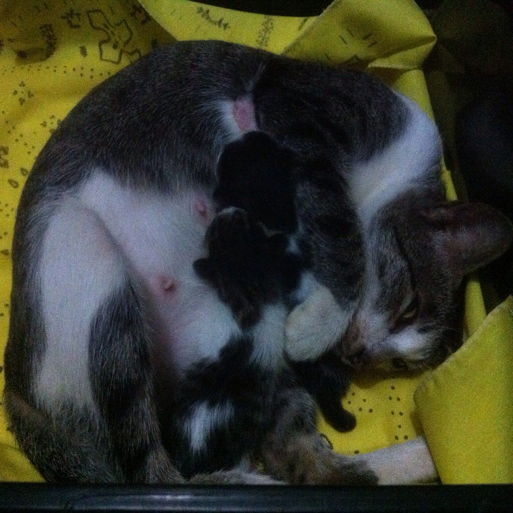 photo534141654013160301