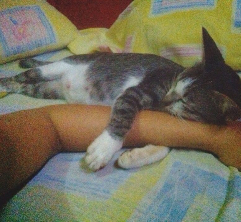 photo534141654013160302