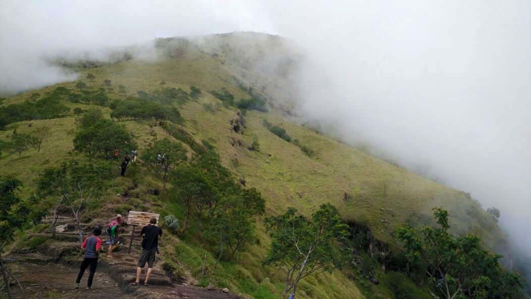 photo6226603583424538540