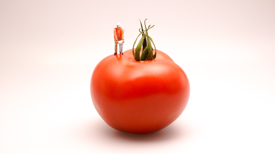 tomato-546964_960_720