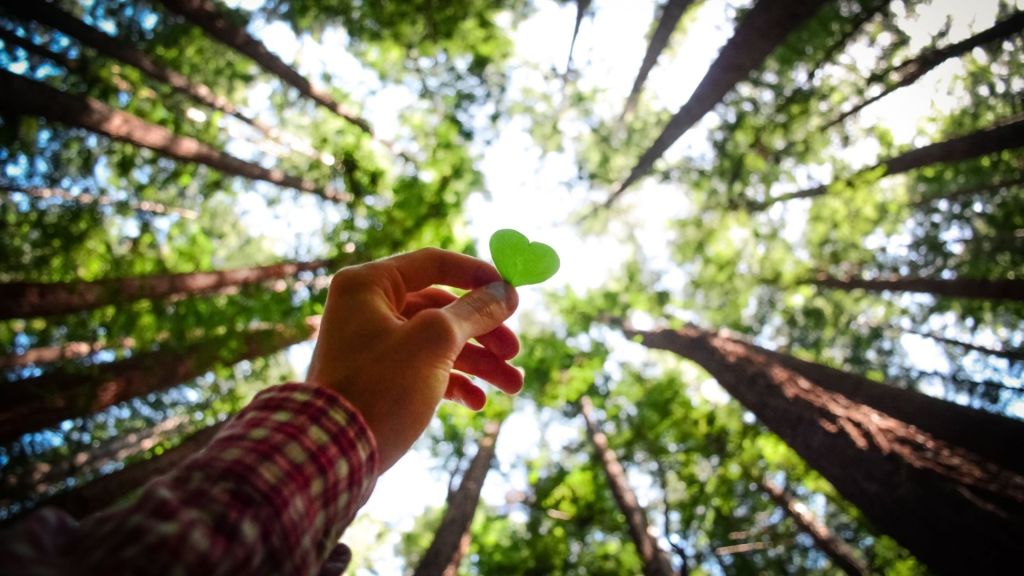 Cinta Tidak Buta, Hanya Perlu Pemikiran Yang&nbsp;Sama
